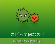 カビって何なの？
