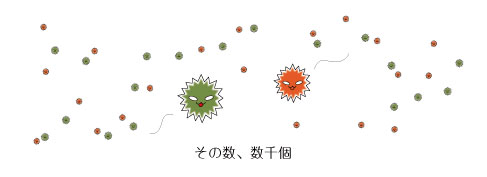 漂うカビ