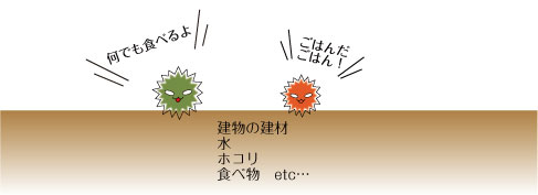 漂うカビ
